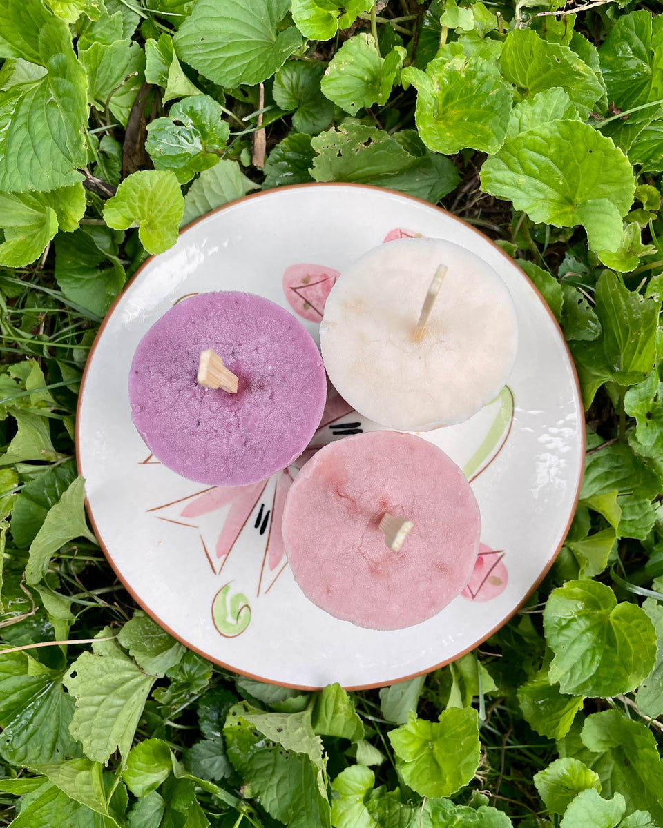 Quick & Easy Vegan Jam Popsicles - Christina Maser Co. Recipes